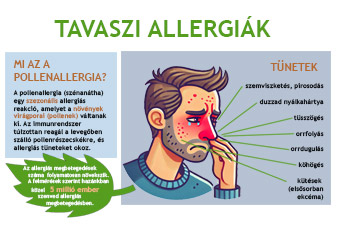 A pollenallergia nagyon gyakori betegség és nem csak tavasszal jelentkezhet