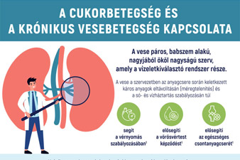 A cukorbetegeket fokozottan fenyegeti a krónikus vesebetegség